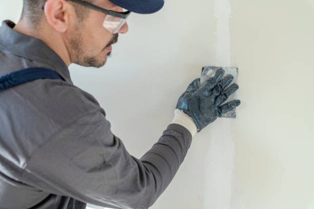 Trusted Guntown, MS Mold Removal Experts