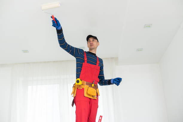 Best Mold Damage Restoration  in Guntown, MS