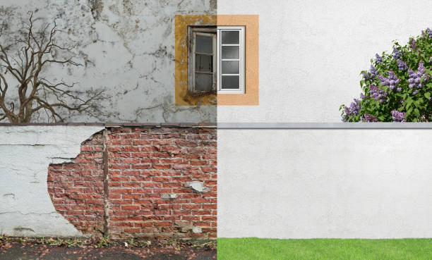 Best Mold Prevention Services  in Guntown, MS