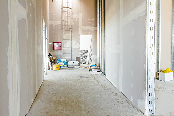 Best Environmental Consulting for Mold Prevention  in Guntown, MS